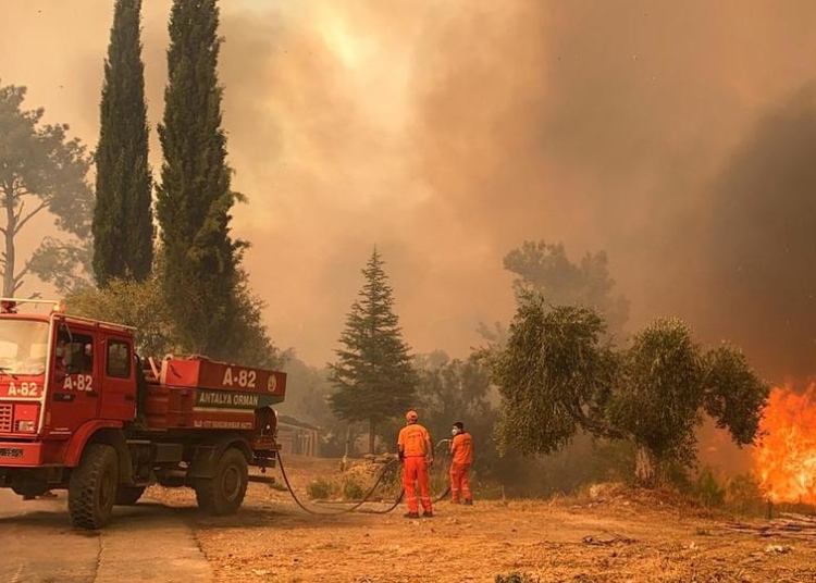 Hutan turki kebakaran Pemerintah Turki